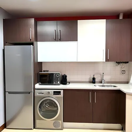 Luistarrak Apartment- Free Parking * 圣塞瓦斯蒂安